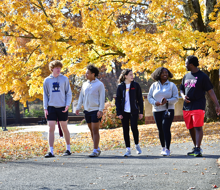 Students on a walk in the autumn