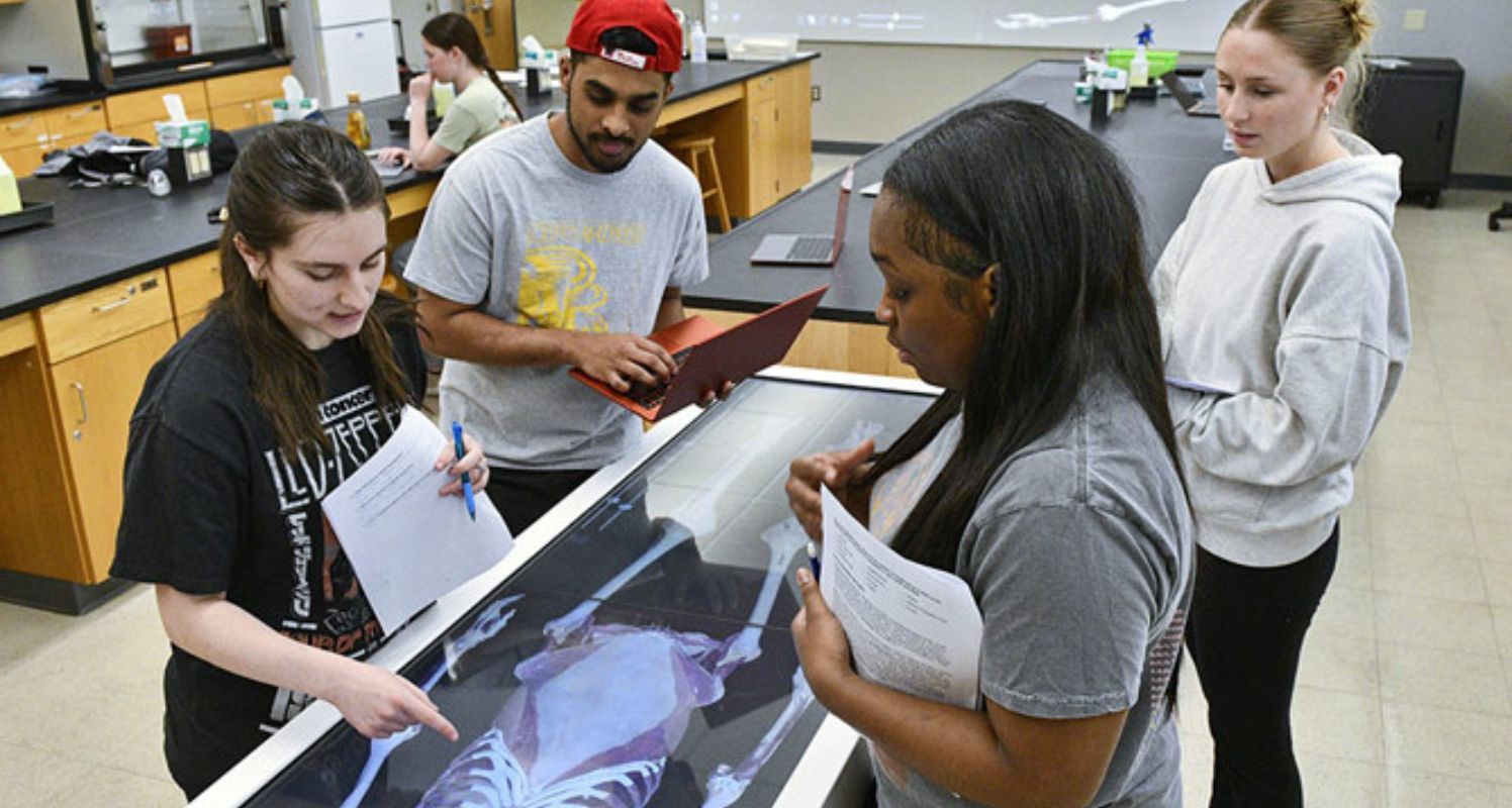 Students in classroom looking at skeleton